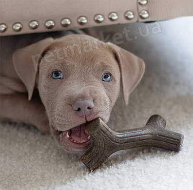 Benebone Puppy Pack 2 - набір з 2 міцних жувальних іграшок зі смаком бекону для цуценят вагою до 7 кг Petmarket