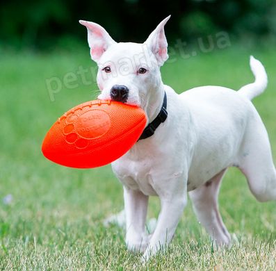 Jolly Pets FOOTBALL Мяч - игрушка для собак - 20 см, Зеленый Petmarket