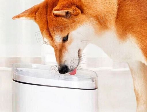 Xiaomi MIJIA Water Dispenser - Мія - поїлка-фонтан для тварин Petmarket
