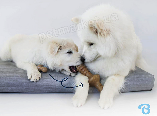 Benebone Puppy Pack 2 - набір з 2 міцних жувальних іграшок зі смаком бекону для цуценят вагою до 7 кг Petmarket