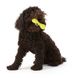West Paw HURLEY Bone - Харлей Кістка - міцна іграшка для собак, 11 см, зелений