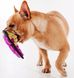 Outward Hound Кобра - іграшка-пискавка для собак