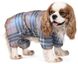 Pet Fashion INDIGO теплий комбінезон для собак, Клітка XS