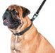 Collar WauDog EVOLUTOR - карабін для амуніції собак, коней, для мисливців та спортсменів