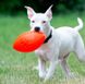 Jolly Pets FOOTBALL М'яч - іграшка для собак - 20 см, Зелений