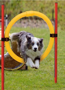 Ferplast AGILITY CIRCLE - Кільце - снаряд для аджиліті Petmarket