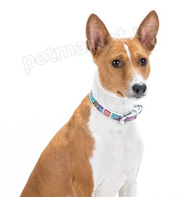 Collar WAUDOG Квіти - шкіряний нашийник для собак - 46-60 см, Білий Petmarket