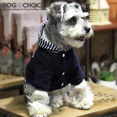Dobaz MODERN теплый костюм - одежда для собак - Розовый, M Petmarket