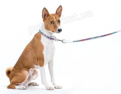 Collar WAUDOG Квіти - шкіряний нашийник для собак - 46-60 см, Білий Petmarket