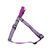Coastal LAZER Brite - світловідбиваючі шлейки для великих собак - L, Блакитний Petmarket