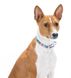 Collar WAUDOG Цветы - кожаный ошейник для собак - 21-29 см, Белый