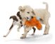 West Paw JEFFERSON - Джефферсон - плюшева іграшка для собак - 17 см, коричневий