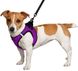 BronzeDog SPORT - шлея для собак мелких и средних пород - 3XS фиолетовый