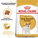 Royal Canin JACK RUSSELL Adult - Роял Канін сухий корм для собак породи джек-рассел тер'єр - 1,5 кг %