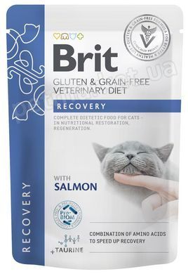 Brit GF VetDiets Care Recovery Salmon - вологий корм для відновлення харчування котів (лосось) Brit GF VetDiets Care Recovery Salmon - вологий корм для відновлення харчування котів (лосось) Petmarket