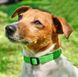 Rogz UTILITY - нейлоновий нашийник для собак - L 34-56 см, Зелений