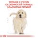 Royal Canin GOLDEN RETRIEVER Puppy - корм для щенков породы голден ретривер - 3 кг