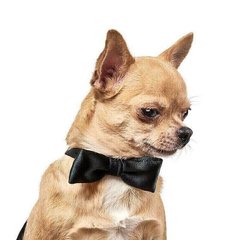 Pet Fashion БАБОЧКА - аксесуари для собак - XS Petmarket