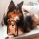 Outward Hound Щенок - прочная игрушка для собак