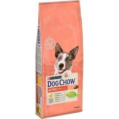 Dog Chow ACTIVE - корм для активных собак (курица) - 14 кг Petmarket