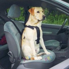 Pet Pro ШЛЕЯ безопасности в автомобиль для собак - L Petmarket