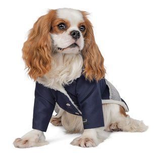Pet Fashion SIRIUS теплий жакет для собак - S % Petmarket