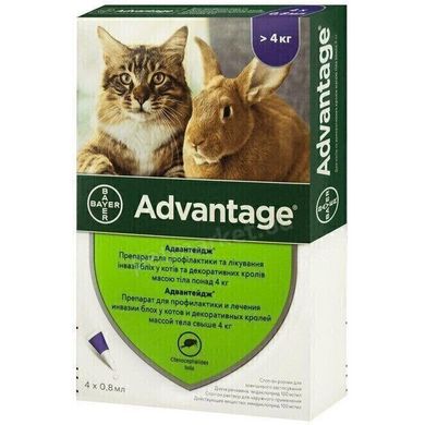 Bayer ADVANTAGE 80 - средство от блох у кошек и кроликов весом более 4 кг - 1 пипетка % Petmarket
