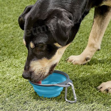 Dexas COLLAPSIBLE Travel Cup - складна миска з карабіном для собак і кішок - 240 мл, Зелений Petmarket