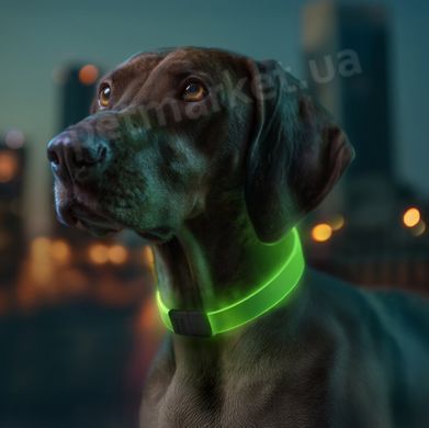 Collar Waudog LED - нашийник для собак з підсвічуванням, регульований - 25 мм/60 см Petmarket
