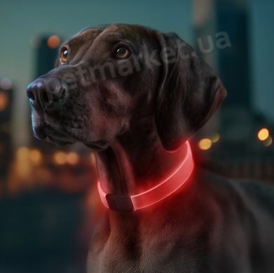 Collar Waudog LED - нашийник для собак з підсвічуванням, регульований - 25 мм/60 см Petmarket