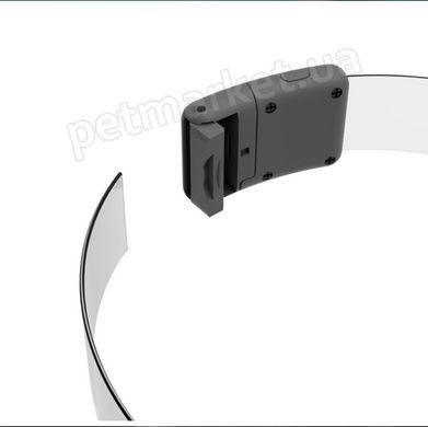 Collar Waudog LED - нашийник для собак з підсвічуванням, регульований - 25 мм/60 см Petmarket