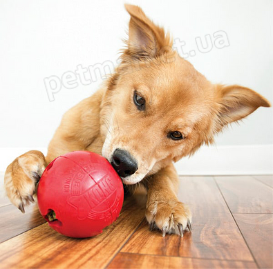 Kong Biscuit Ball - Мяч с отверстием для лакомств для собак крупных пород Petmarket