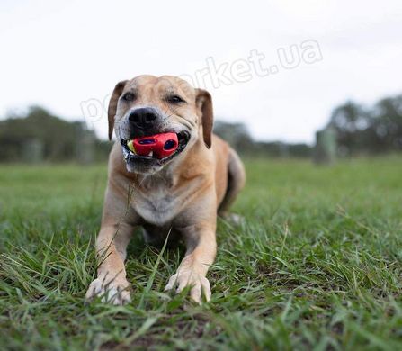 Nerf LED Bash Ball - Сяючий М'яч - іграшка для собак Petmarket