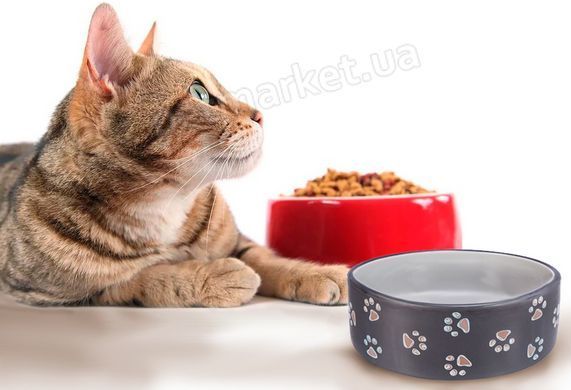 Trixie Jimmy Ceramic Bowl - миска керамічна з принтом "лапки" для собак та котів Petmarket