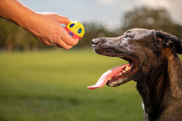 Nerf LED Bash Ball - Cветящийся мяч - игрушка для собак Petmarket