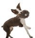 West Paw ROSEBUD - Роузбуд - м'яка іграшка для собак - 17 см, коричневий