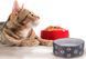 Trixie Jimmy Ceramic Bowl - миска керамічна з принтом "лапки" для собак та котів - 750 мл