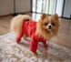 Dogs Bomba POCKET комбінезон дощовик для собак - №2, Червоний