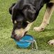 Dexas COLLAPSIBLE Travel Cup - складна миска з карабіном для собак і кішок - 240 мл, Блакитний