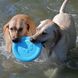 West Paw ZISC Disc - Зиск Фрисби - игрушка для собак, 22 см, голубой