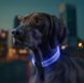 Collar Waudog LED - нашийник для собак з підсвічуванням, регульований - 25 мм/60 см
