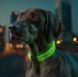 Collar Waudog LED - нашийник для собак з підсвічуванням, регульований - 25 мм/60 см