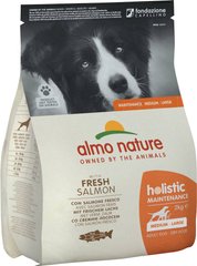 Almo Nature Holistic Maintenance M-L Лосось - корм для собак середніх/великих порід - 2 кг Petmarket
