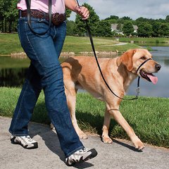 Premier EASY WALK - намордник-петля для собак - large Petmarket