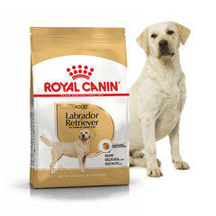 Royal Canin LABRADOR RETRIEVER - Роял Канін сухий корм для лабрадорів - 12 кг % Petmarket