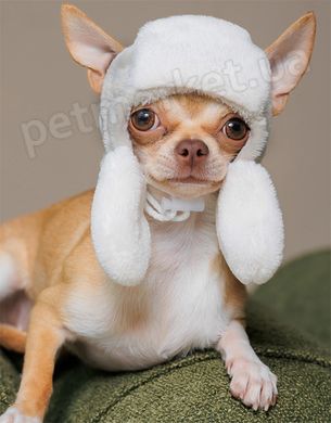 Pet Fashion BUBO - шапка для собак, XS, хакі Petmarket