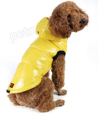 Dogs Bomba Лакированный жилет утепленный для собак - №3, Желтый Petmarket