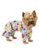 Pet Fashion Бонні комбінезон-дощовик - одяг для собак, арбуз, XS