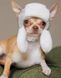 Pet Fashion BUBO - шапка для собак, M, серая
