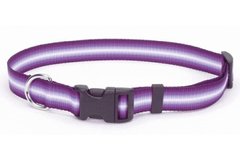 Coastal Trendz Graduated ошейник нейлоновый для собак - 45-70 см, Пурпурный % РАСПРОДАЖА Petmarket